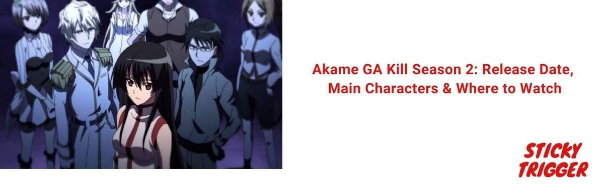Akame GA Kill Season 2 Release Date, Main Characters & Where to Watch [2021]